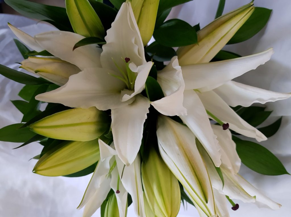 Luscious Lillies Bouquet - Albany Florist