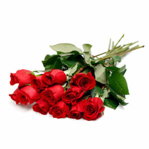 roses-for-sale-auckland-florist-albany
